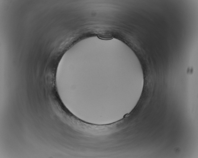 X0000114700031200911181328