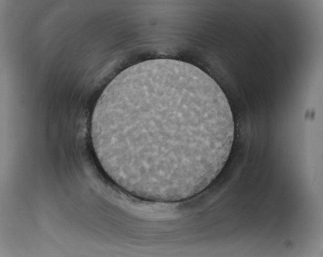 X0000114700032200911181328