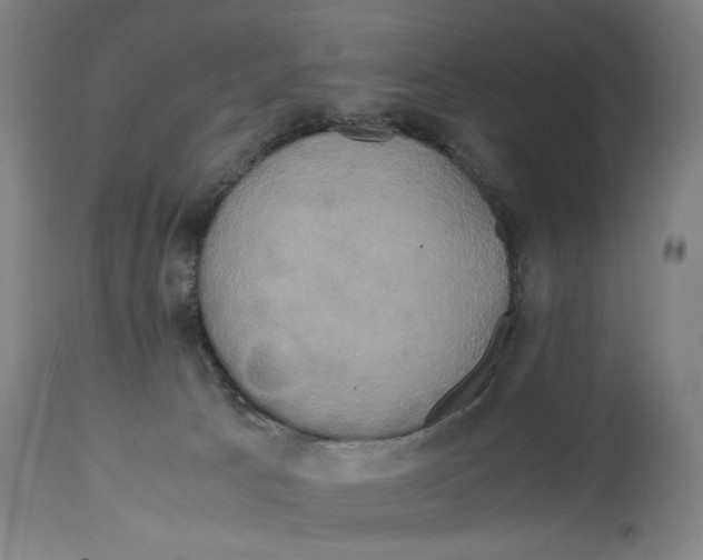 X0000114700033200911181328