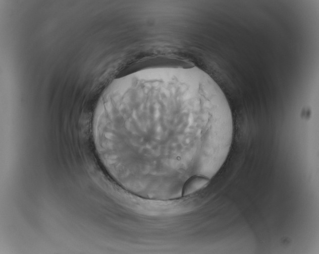 X0000114700034200911181328