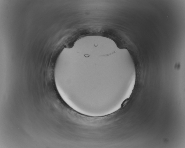 X0000114700035200911181328