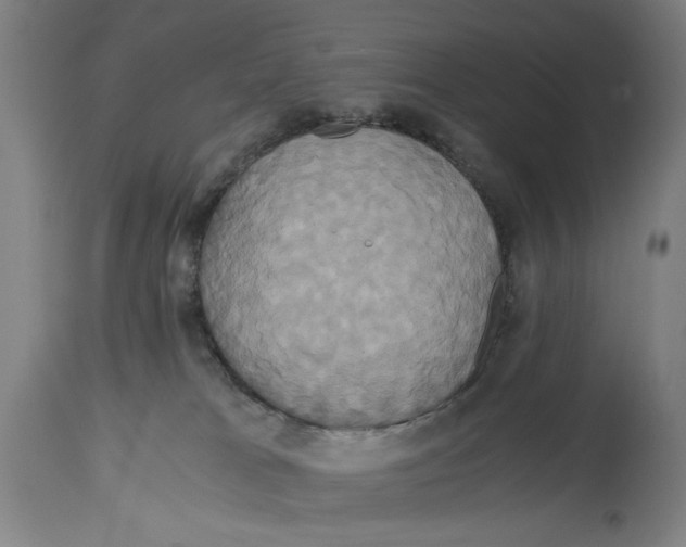 X0000114700037200911181328