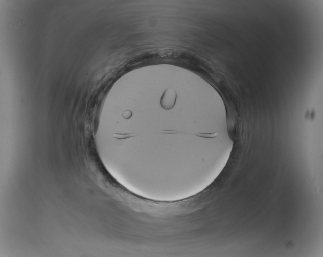 X0000114700039200911181328