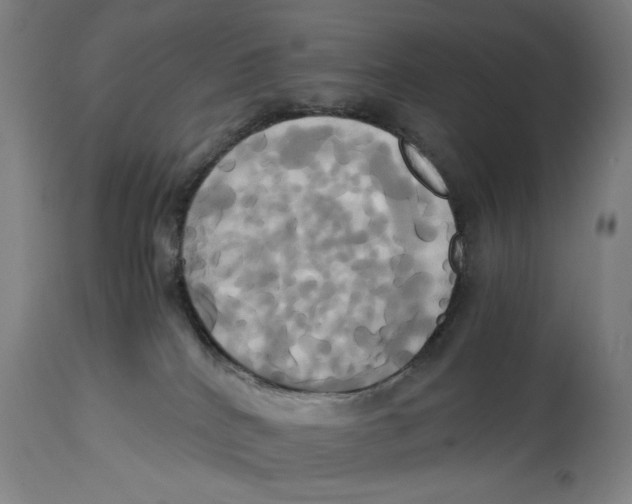 X0000114700040200911181328