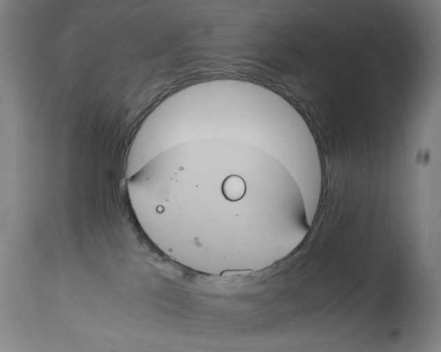 X0000114700041200911181328