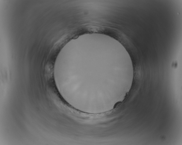 X0000114700043200911181328