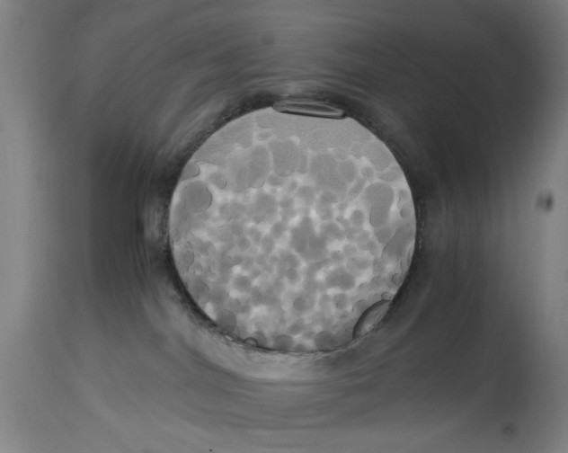 X0000114700044200911181327