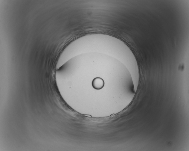 X0000114700045200911181327