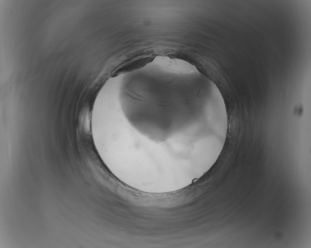 X0000114700046200911181327