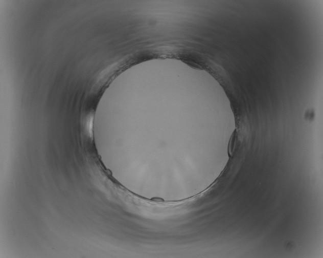 X0000114700047200911181327