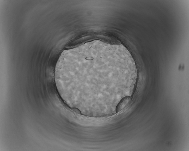 X0000114700048200911181327