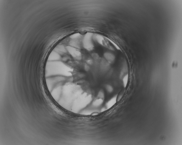 X0000114700049200911181327