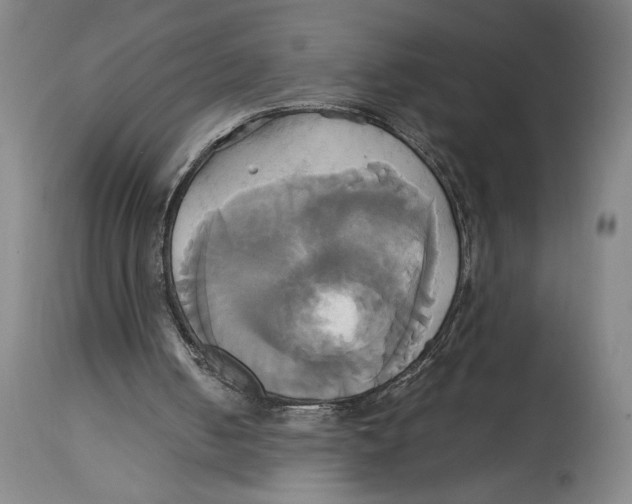 X0000114700050200911181327