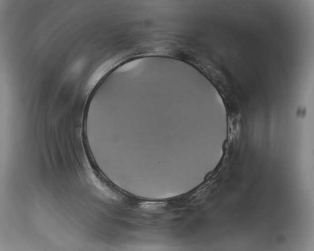 X0000114700051200911181327