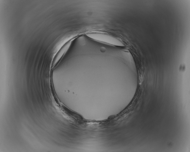 X0000114700052200911181327