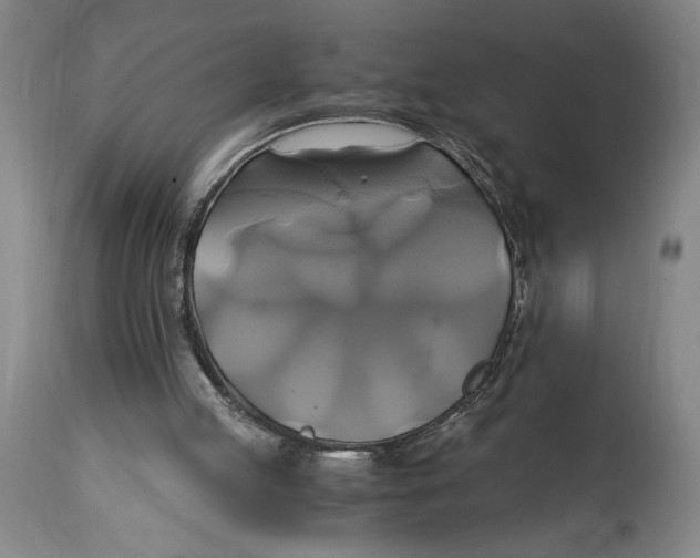 X0000114700053200911181327