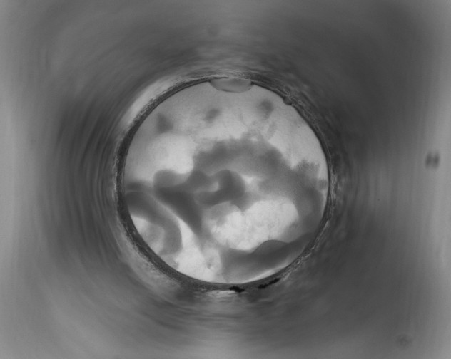 X0000114700054200911181327