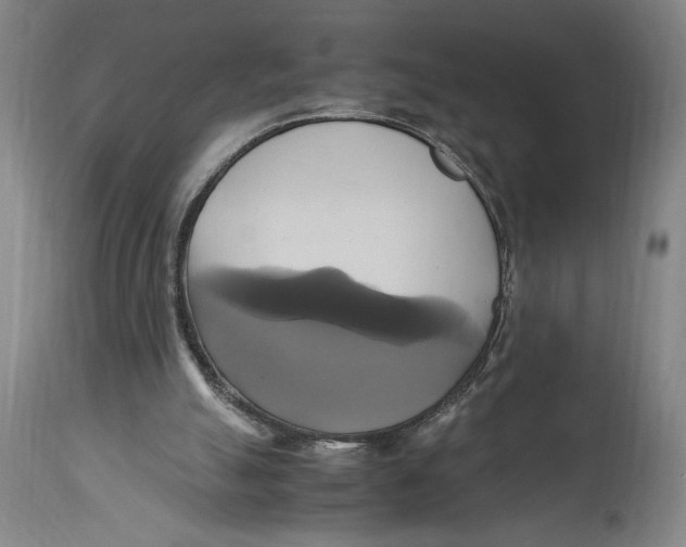 X0000114700055200911181327