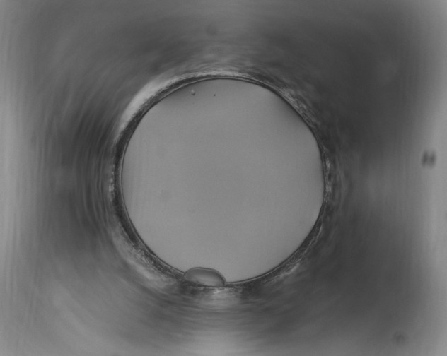 X0000114700056200911181327