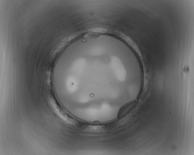 X0000114700057200911181327