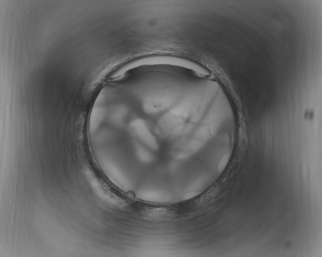 X0000114700058200911181327