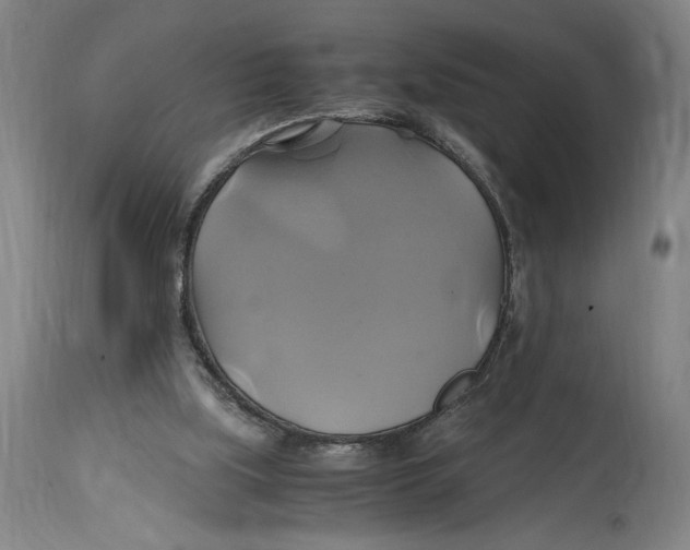 X0000114700059200911181327