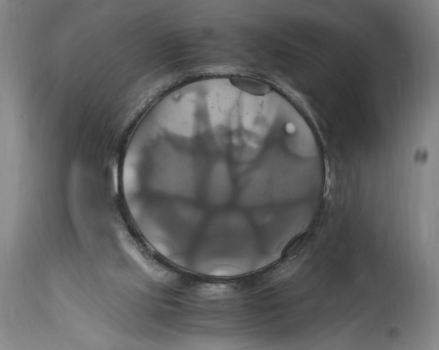 X0000114700061200911181327