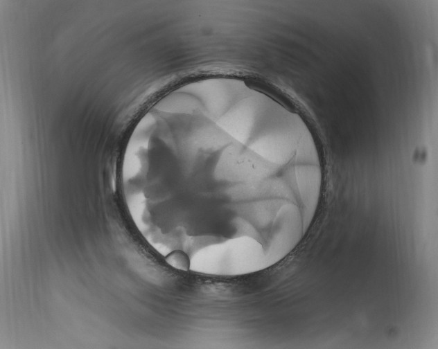 X0000114700062200911181327