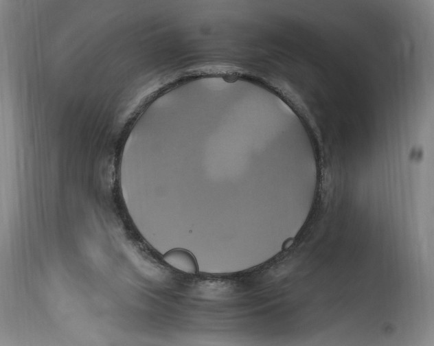 X0000114700063200911181327