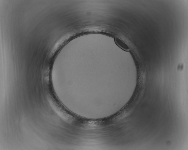 X0000114700064200911181327