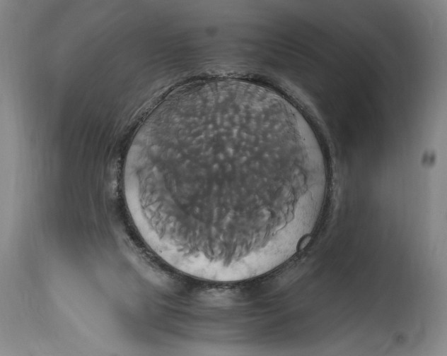 X0000114700065200911181327