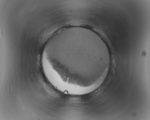 X0000114700066200911181327