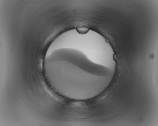 X0000114700067200911181327