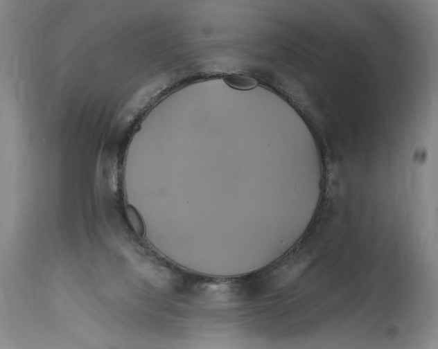 X0000114700068200911181327