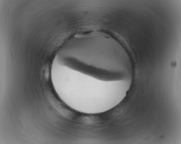 X0000114700069200911181327