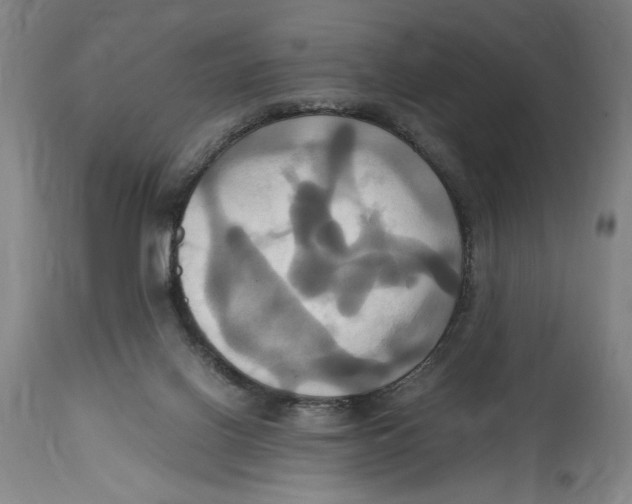 X0000114700070200911181327