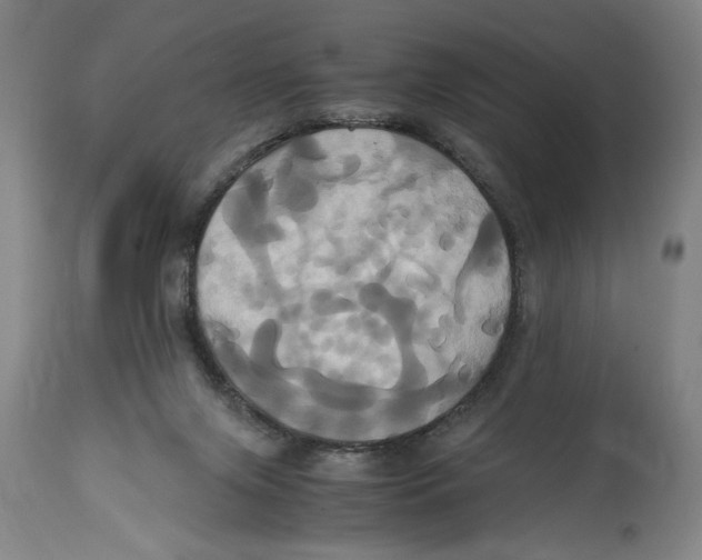 X0000114700071200911181327