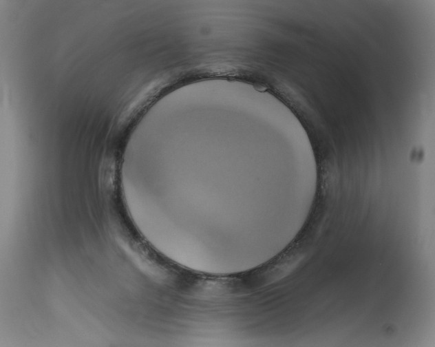 X0000114700072200911181327