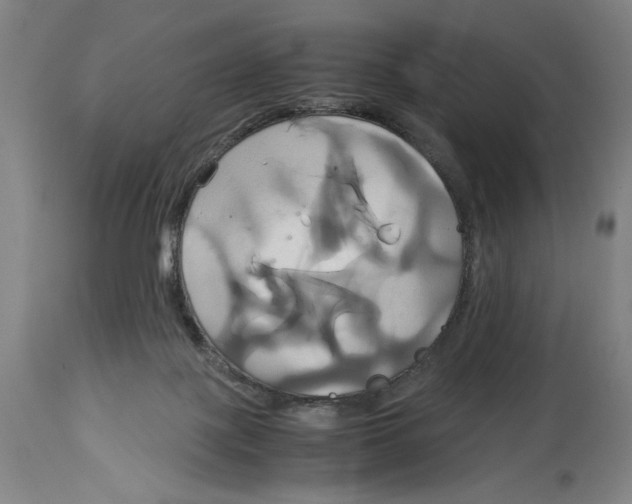 X0000114700075200911181327