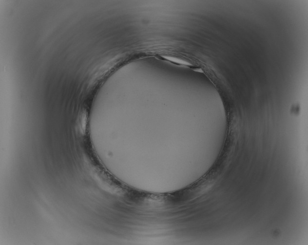 X0000114700076200911181327