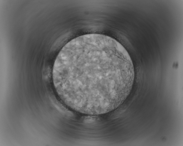 X0000114700077200911181327