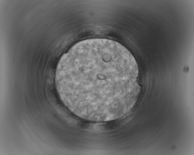 X0000114700078200911181327