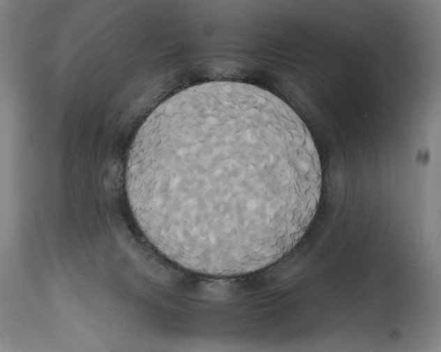 X0000114700079200911181327