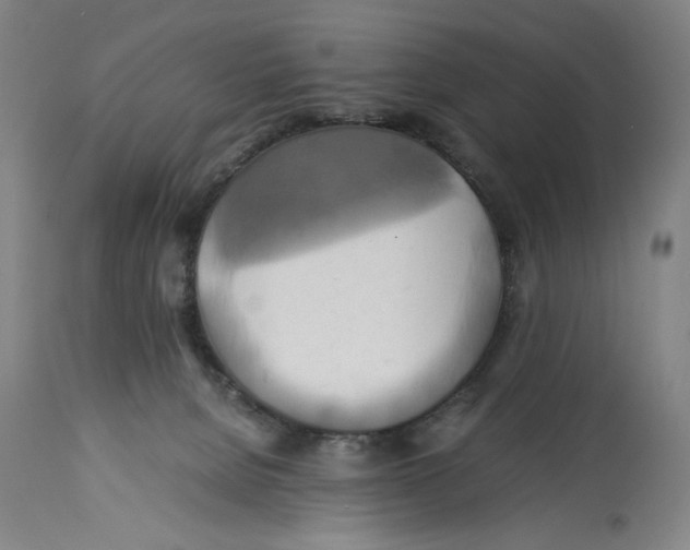 X0000114700080200911181327