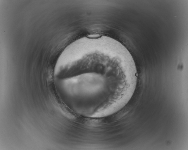 X0000114700081200911181327