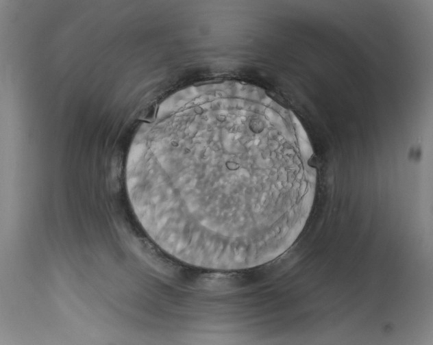 X0000114700082200911181327