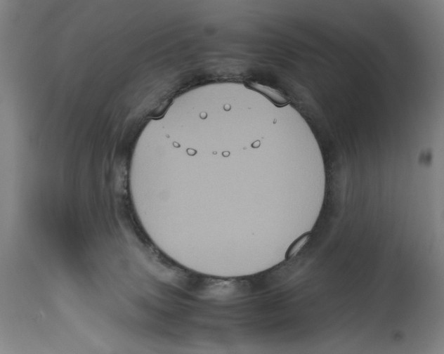 X0000114700083200911181327