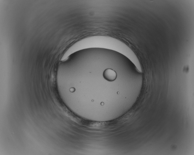 X0000114700084200911181327