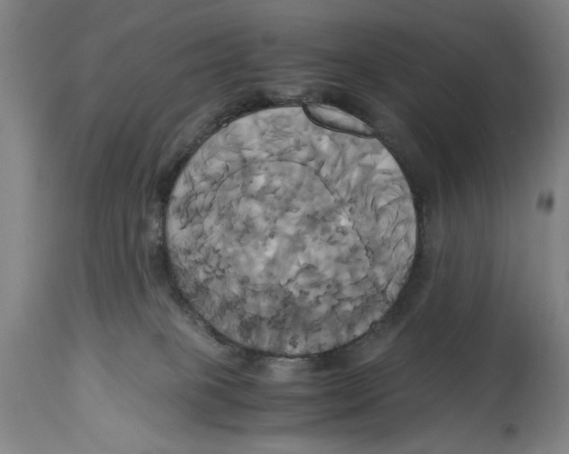 X0000114700085200911181327