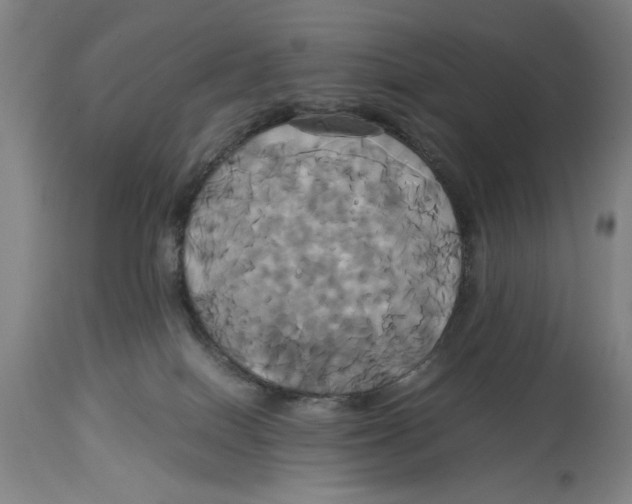 X0000114700086200911181327